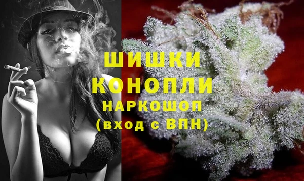 дмт Верея