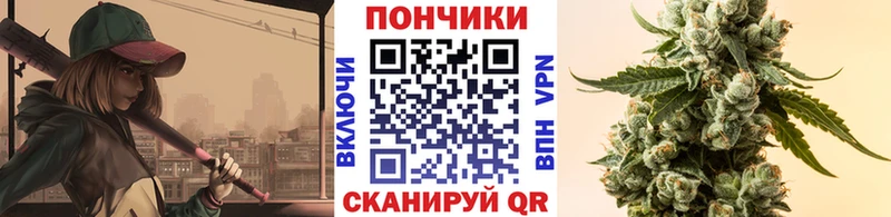 Бошки Шишки сатива  Волосово 